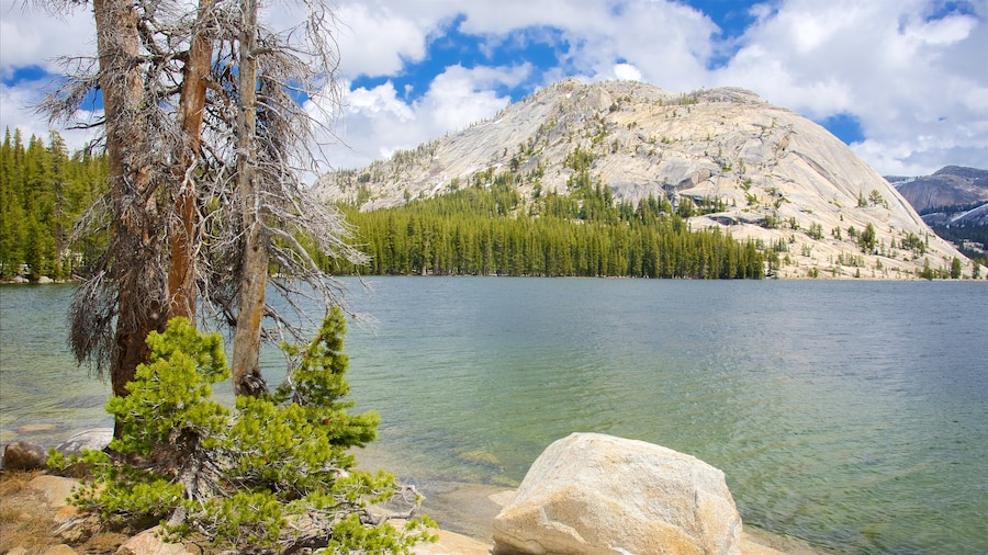 Tenaya Lake