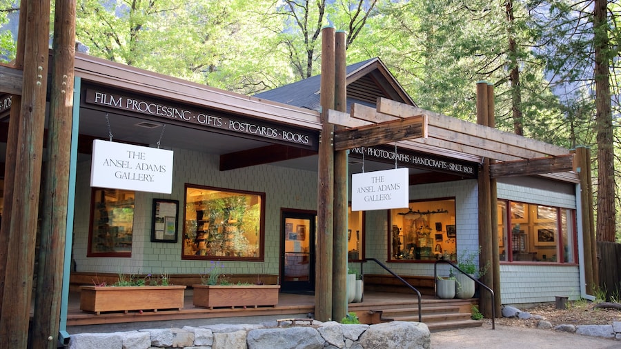 Galerie d'art Ansel Adams Gallery