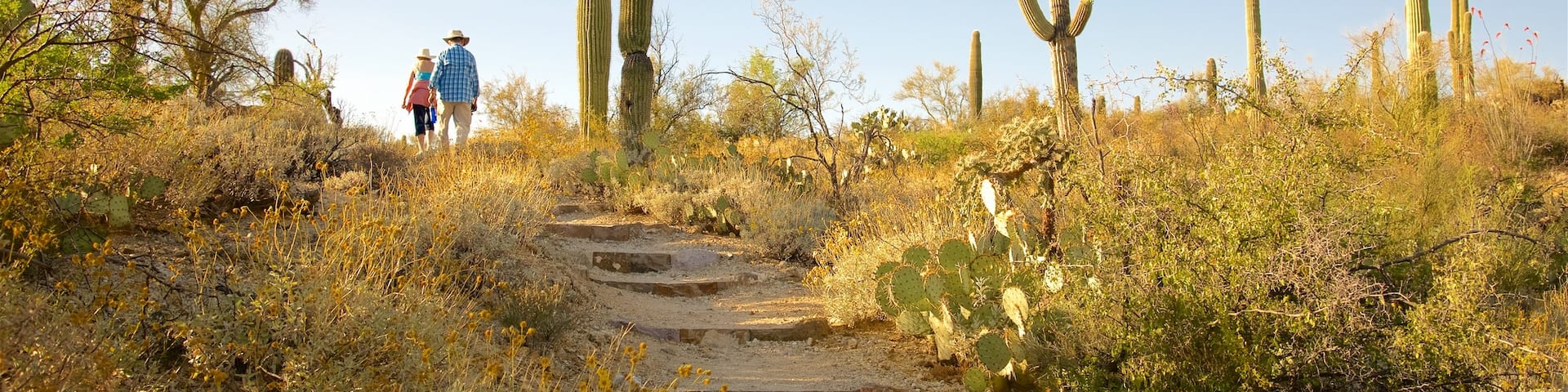 Freeman Homestead Trail