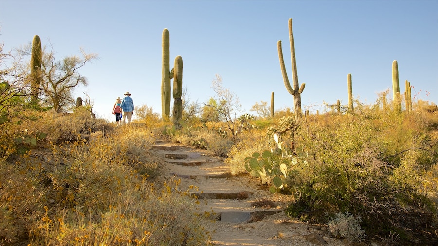 Freeman Homestead Trail