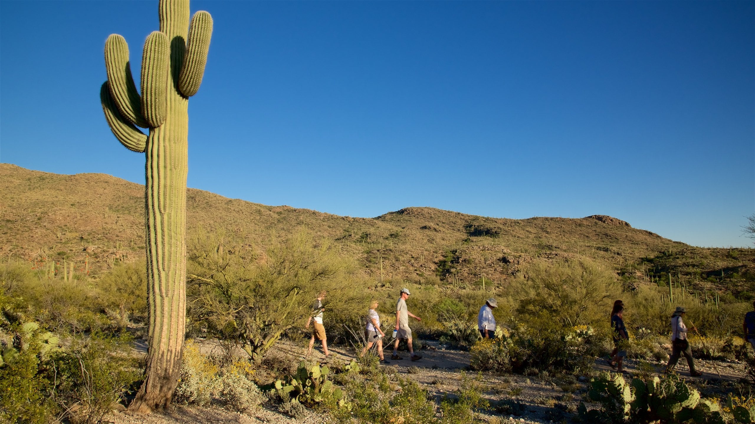 Freeman Homestead Trail Vacation Rentals house rentals & more Vrbo