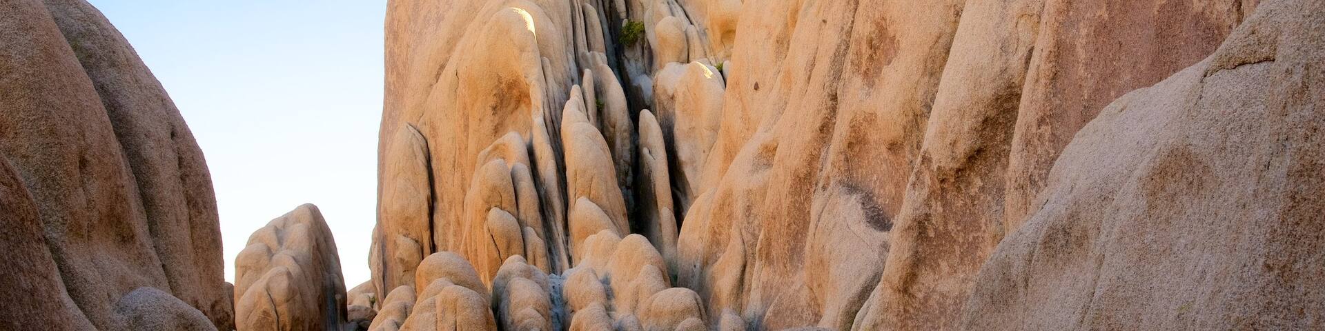 Arch Rock