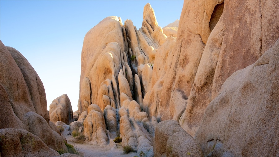 Arch Rock