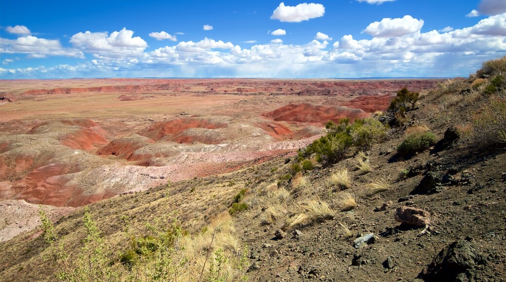 Mirador de Chinde Point