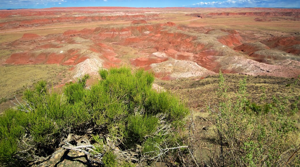 Chinde Point