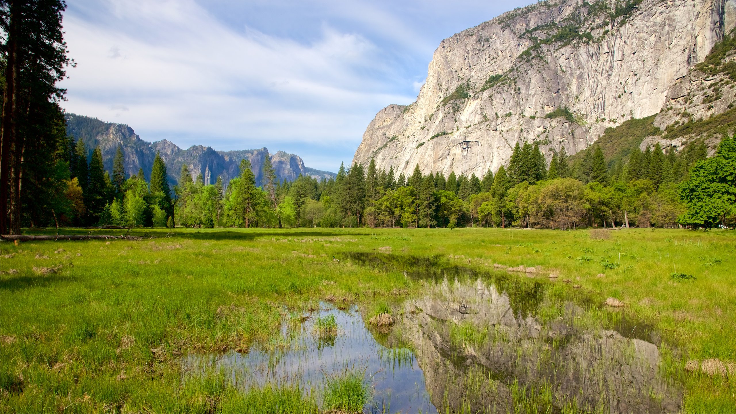 Visit Yosemite Village: 2022 Travel Guide for Yosemite Village, Yosemite National Park  Expedia