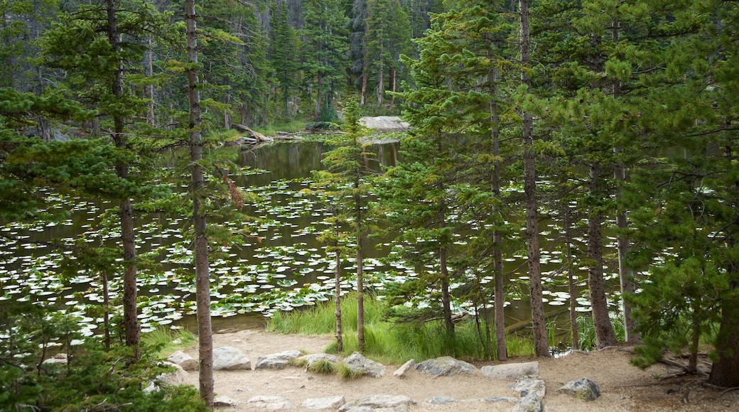 Nymph Lake