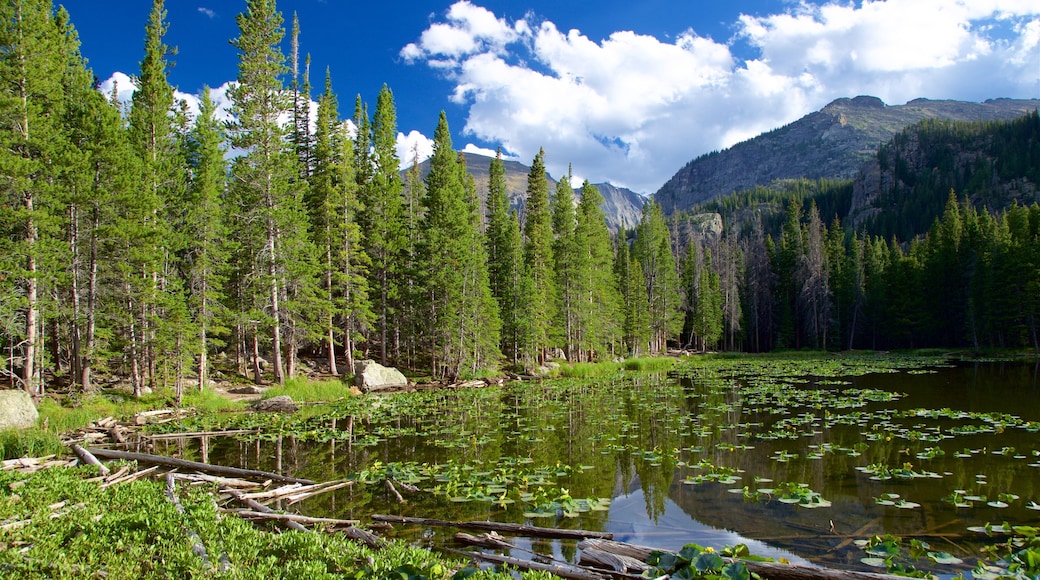 Nymph Lake