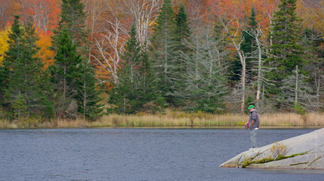 Lago Beaver Pond