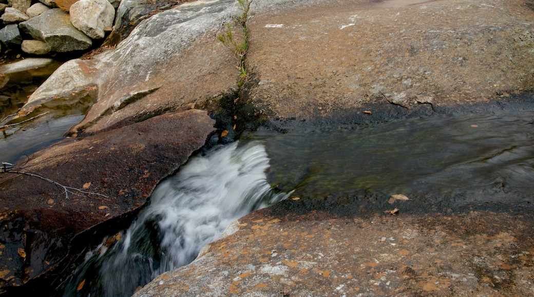 Bear Brook delstatspark