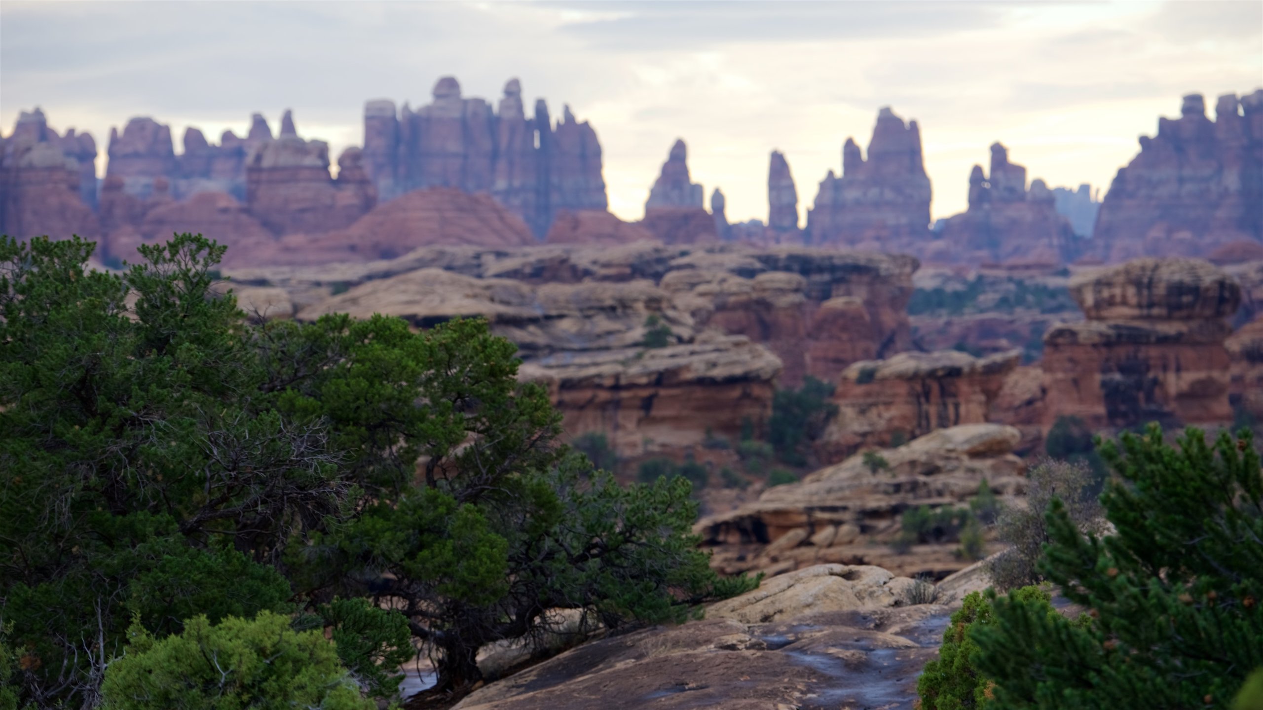 Pothole shop point canyonlands