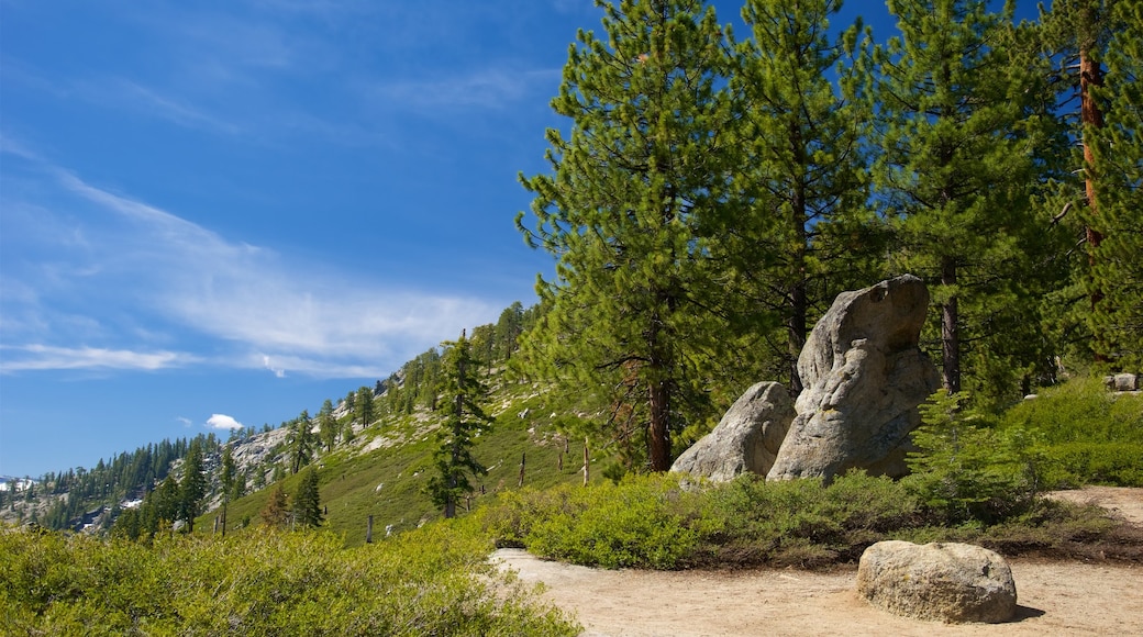 Washburn Point