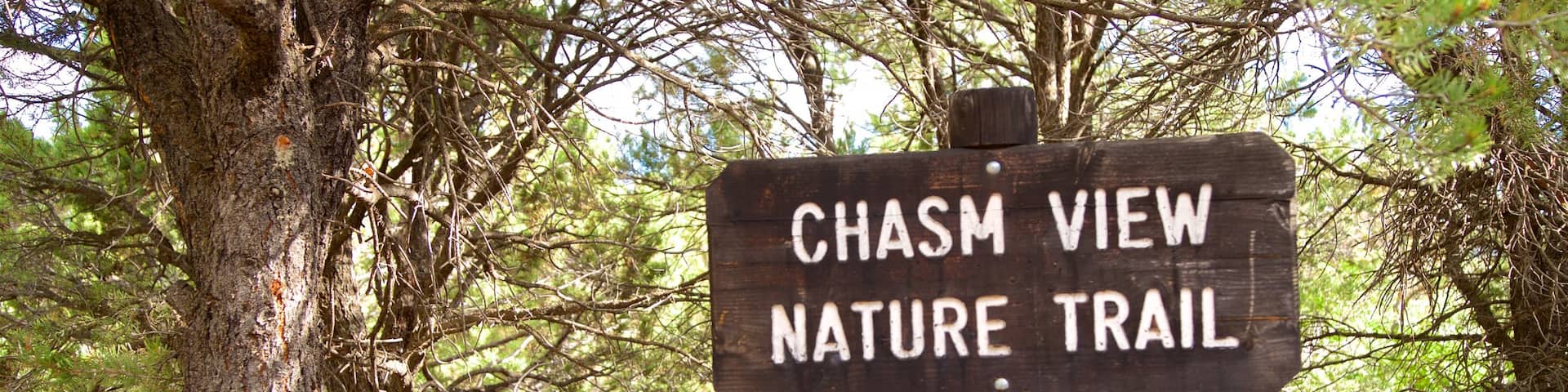 Chasm View Nature Trail