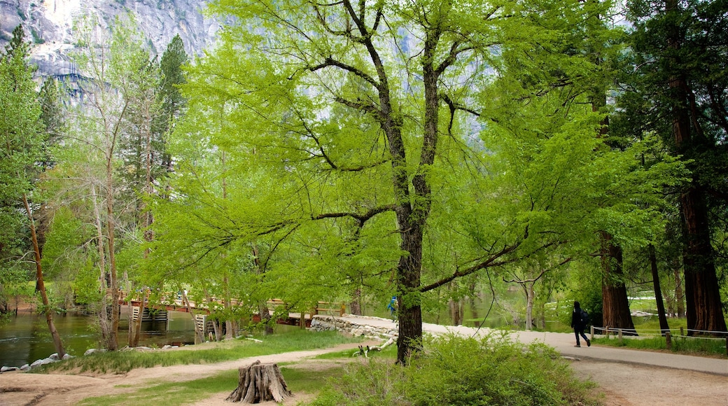 Área de picnic de Swinging Bridge