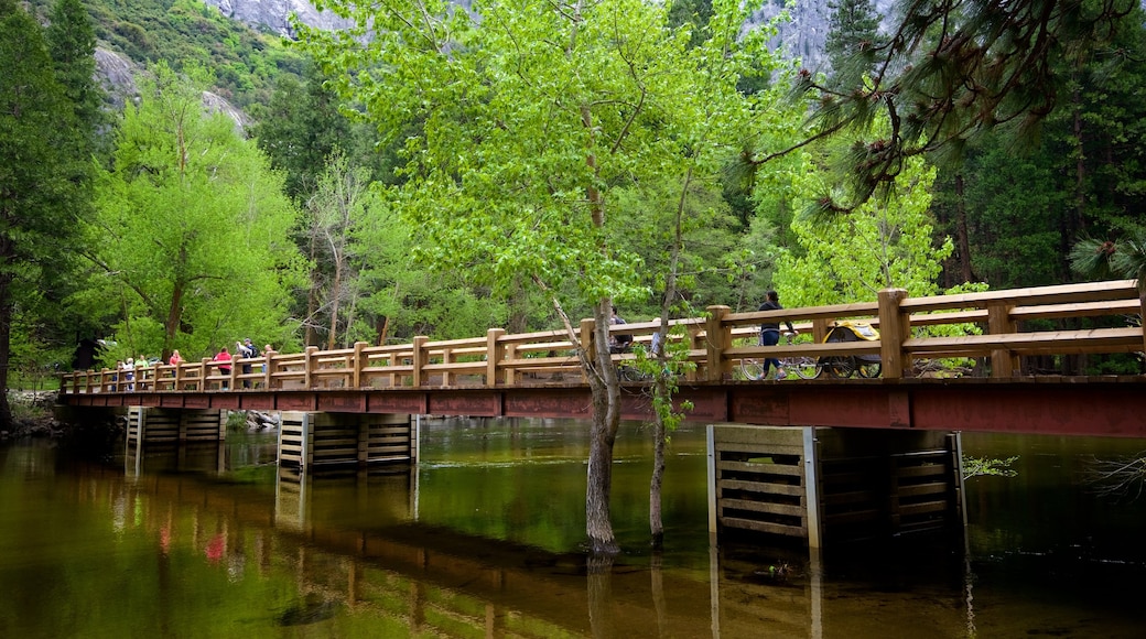 Área de picnic de Swinging Bridge