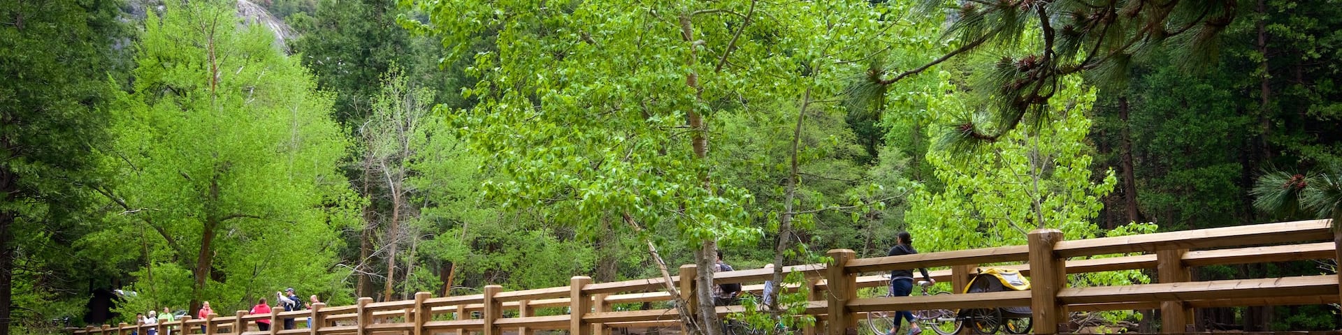Swinging Bridge Picnic Area