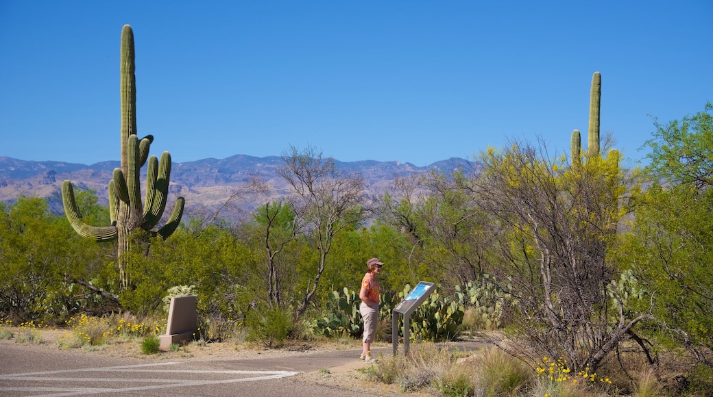 Desert Ecology Trail