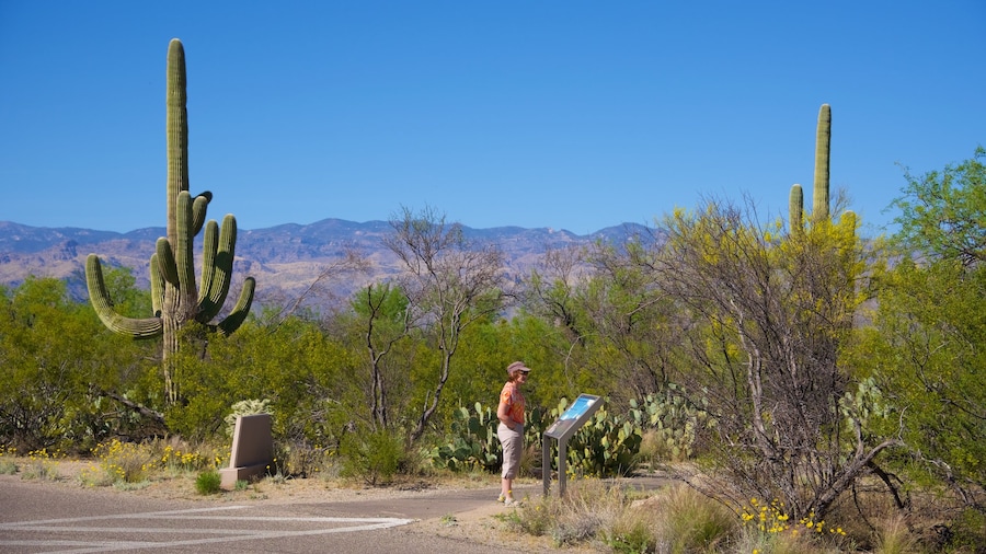 Desert Ecology Trail
