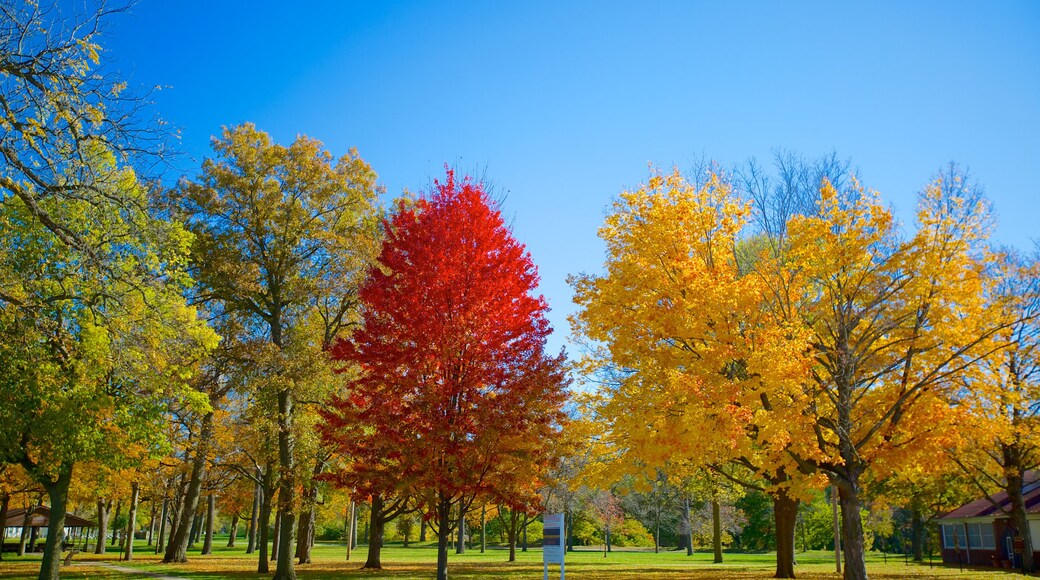 Chautauqua Park