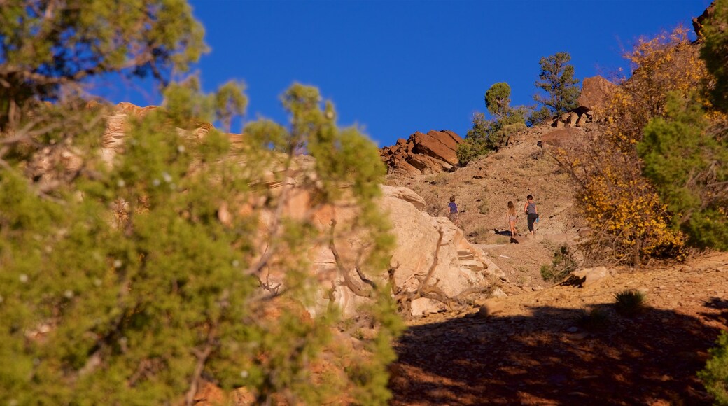 Scenic Byway 12