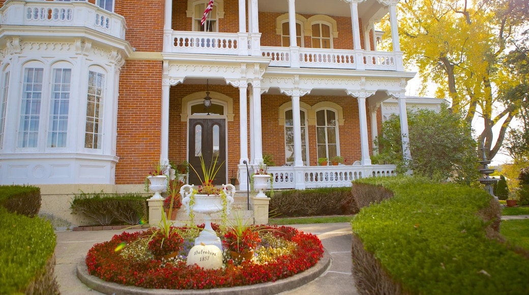 Edificio Storico Belvedere Mansion