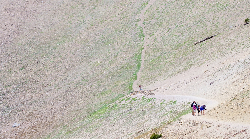 Lassen Peak Trail