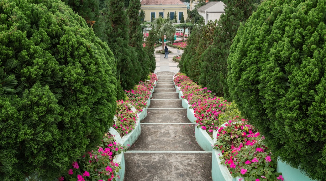 Carmel Garden featuring a park and flowers