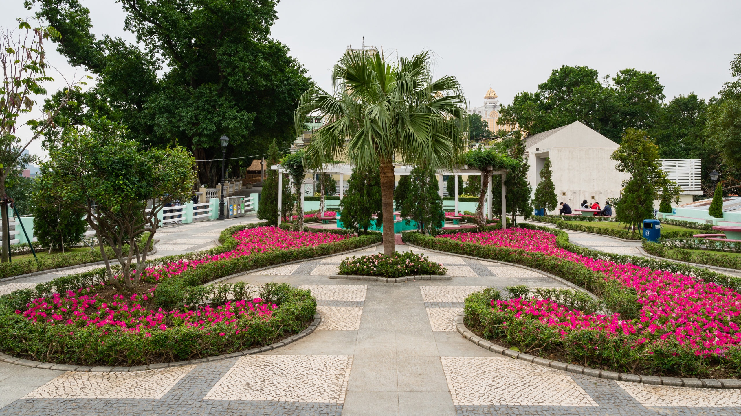 Carmel Garden which includes flowers and a garden