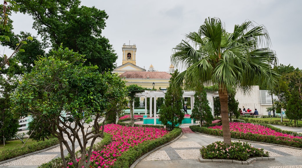 Carmel Garden featuring flowers and a garden