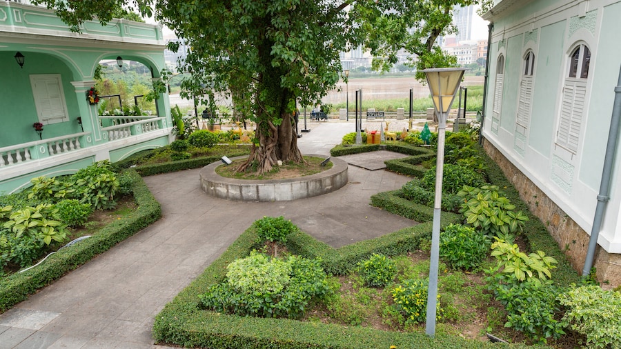 Museum for Taipa-husene