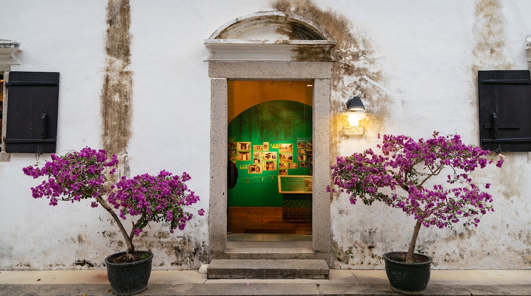 Casa do Mandarim