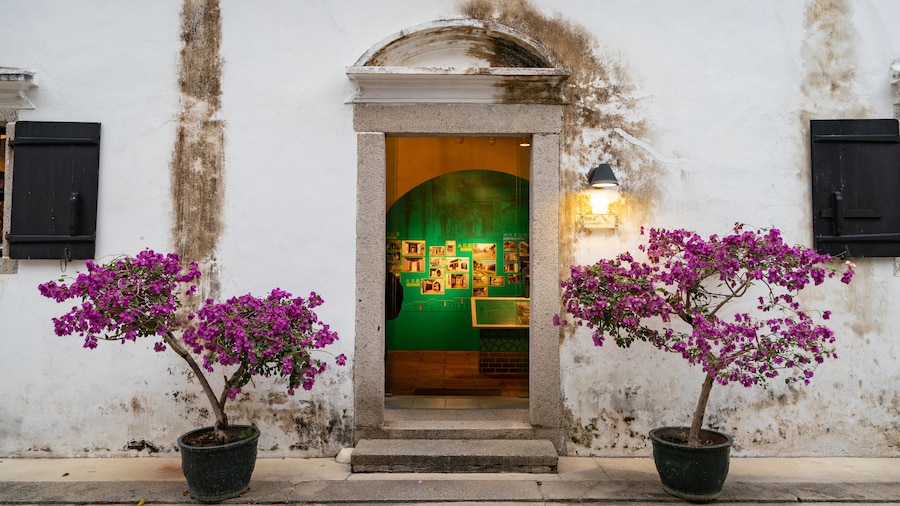 Mandarin\'s House showing flowers and heritage elements