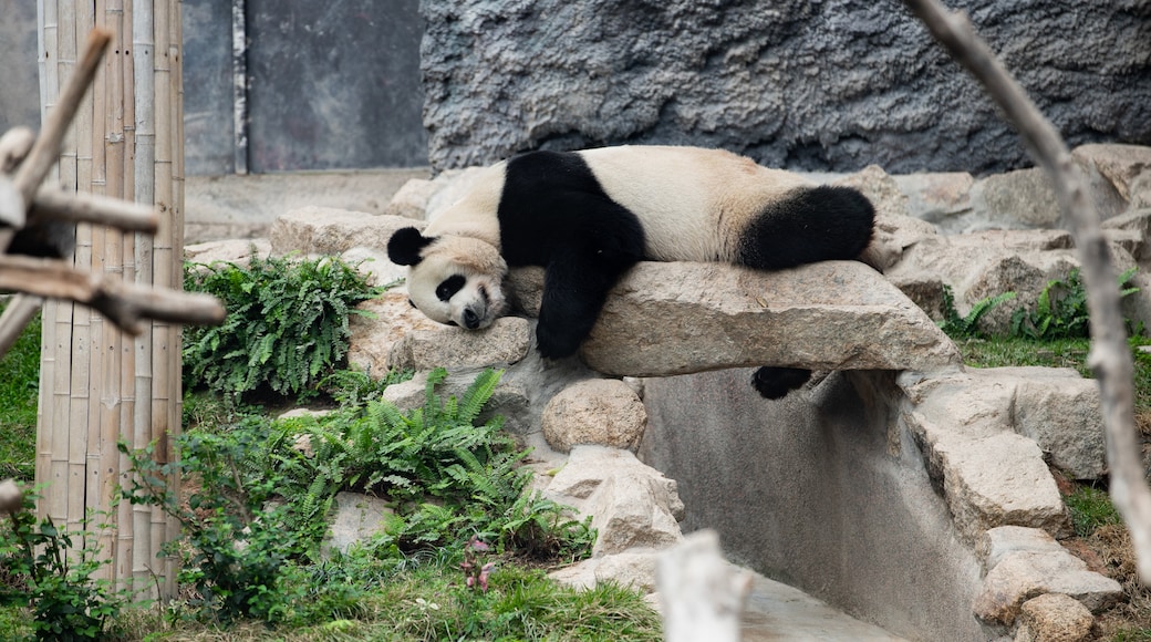 石排灣公園