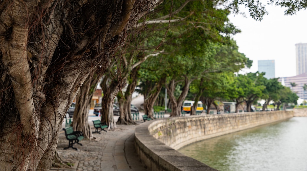 Avenida da República showing a river or creek and a garden