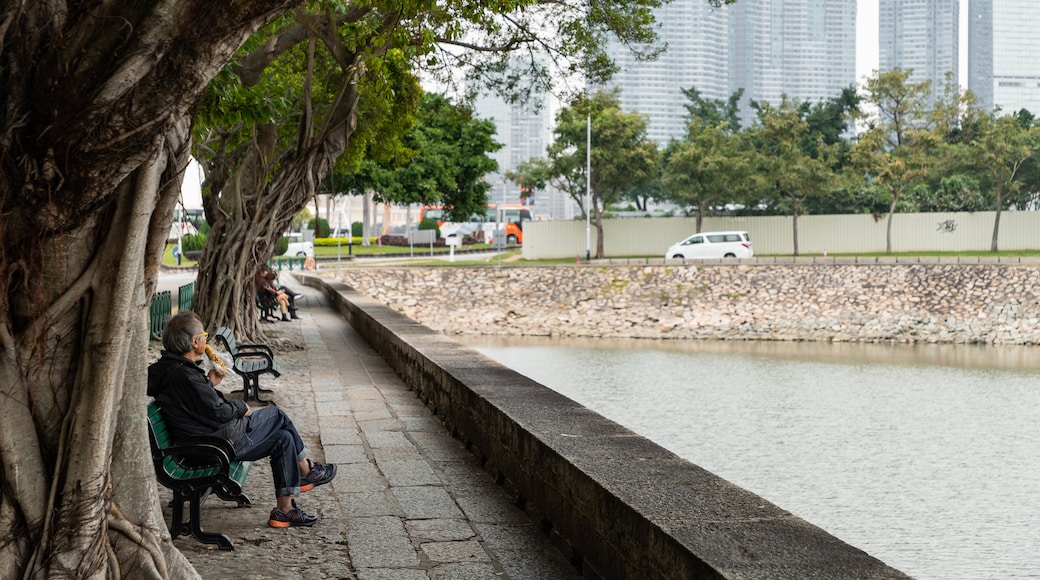 Avenida da República showing a river or creek and a park as well as a couple