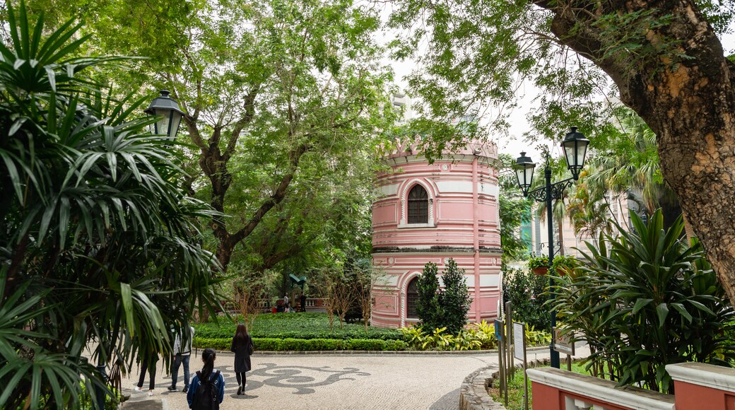 Jardim de S. Francisco