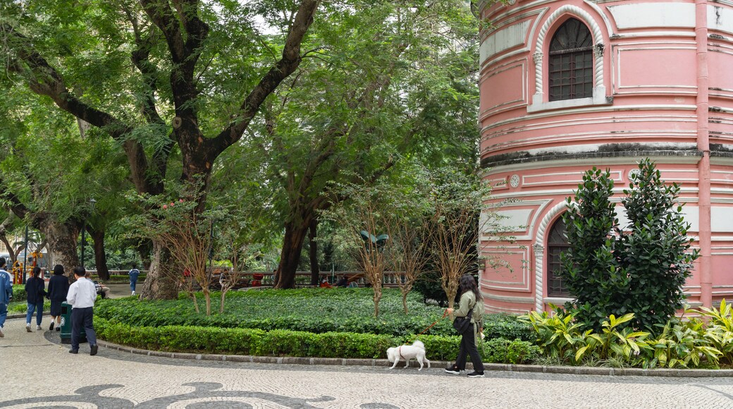 Jardim do Sao Francisco featuring a garden