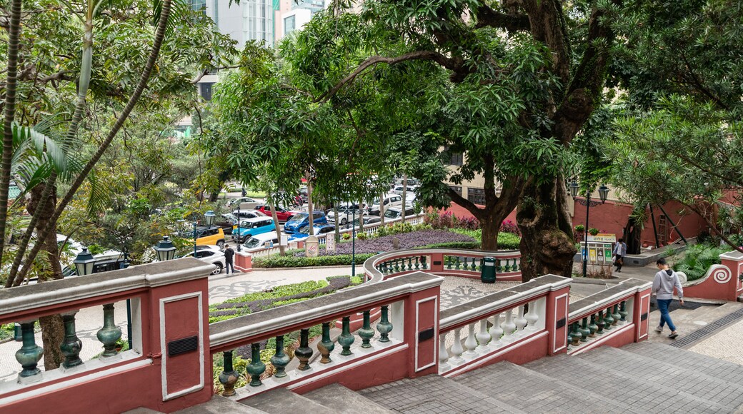 Jardim do Sao Francisco showing a garden