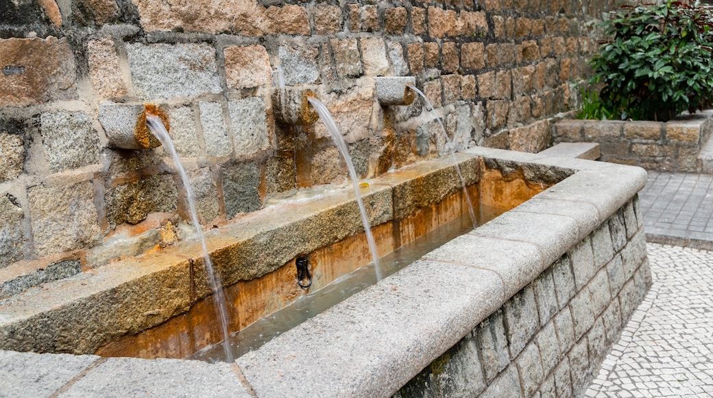 Jardim do Sao Francisco which includes a fountain