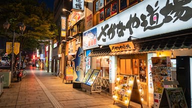 Beppu showing night scenes