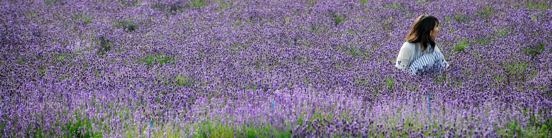 Nakafurano showing wildflowers as well as an individual femail