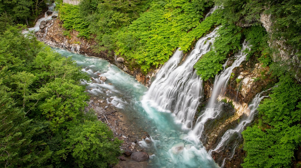 Shirahige Falls showing landscape views, rapids and a gorge or canyon