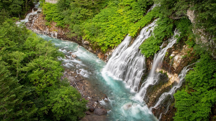 Shirahige Falls