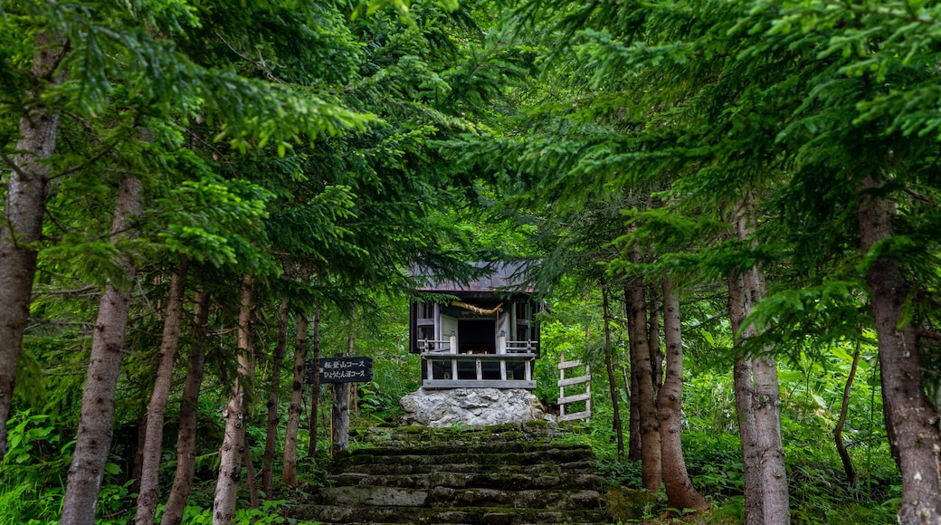 Tenninkyo Gorges which includes a park and forests