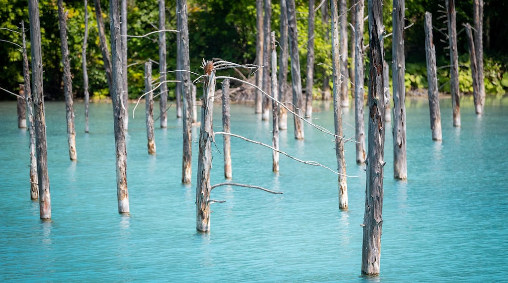 Blue Pond which includes tropical scenes and general coastal views