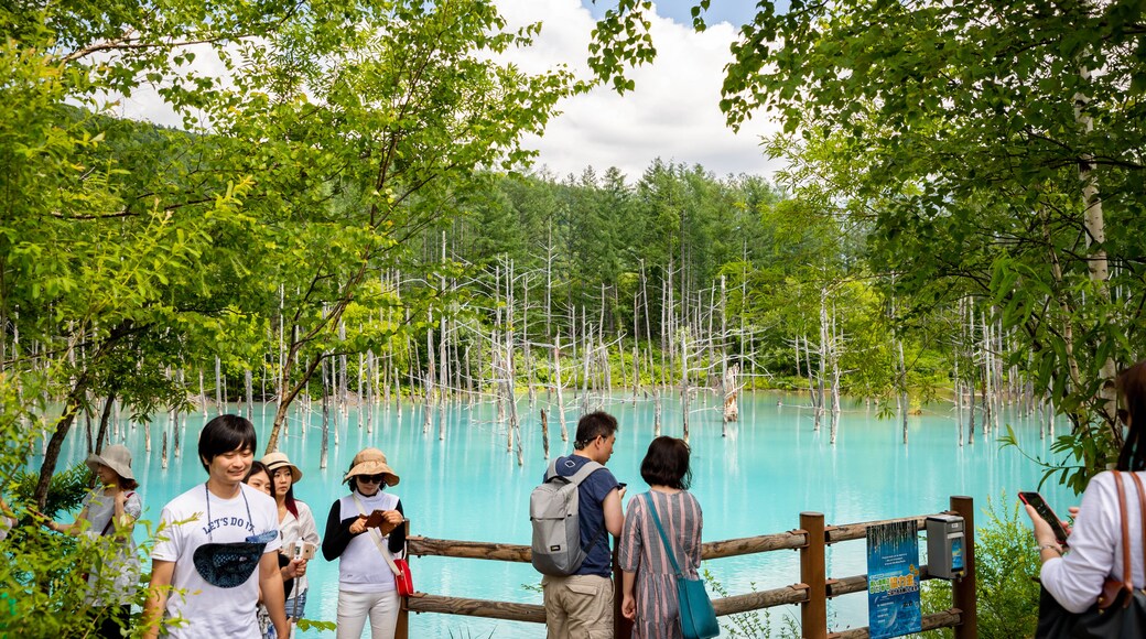 Blue Pond