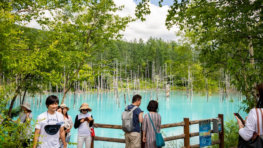 Mirador Blue Pond