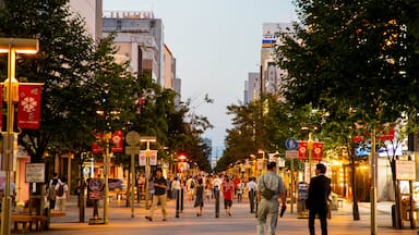 Asahikawa which includes street scenes, a sunset and a city