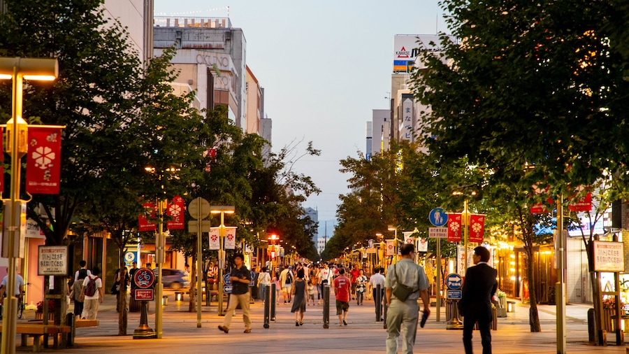 Asahikawa which includes street scenes, a sunset and a city