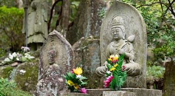 Hiroshima showing a park, flowers and heritage elements